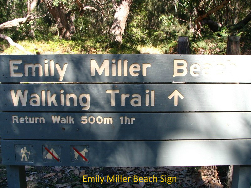 fa-emily-miller-sign