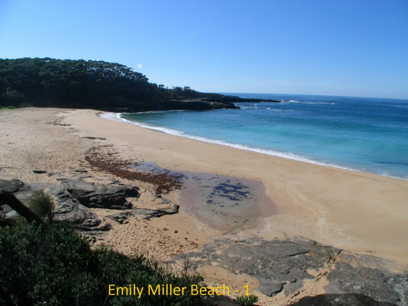 i-emily-miller-beach