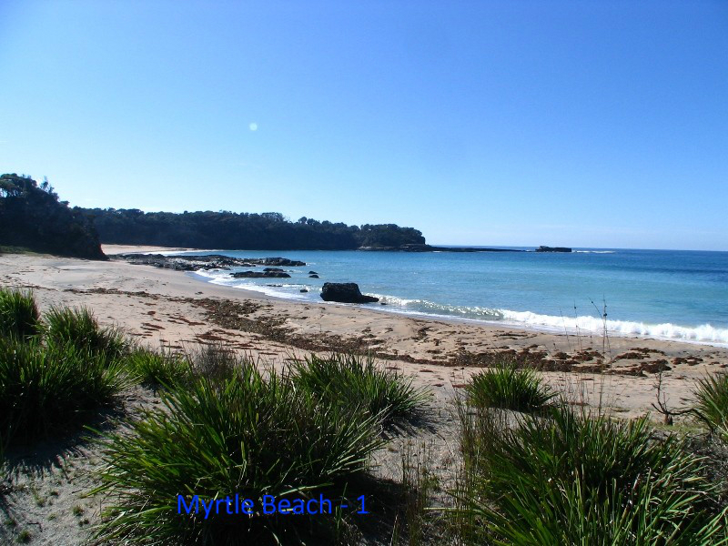 k-myrtle-beach